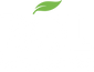 BOL Foods