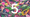 BOL Foods turns 5